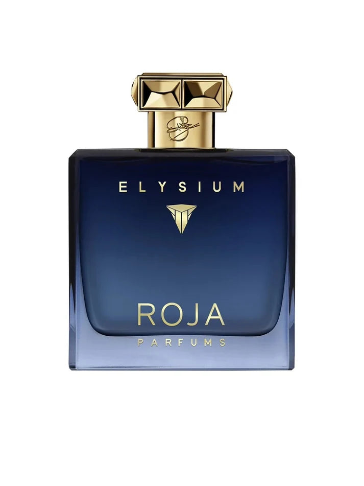 Roja Parfums Elysium Eau de Parfum for Men 100ml – Fresh Citrus Aromatic Woody